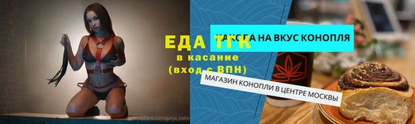 СК Гусев